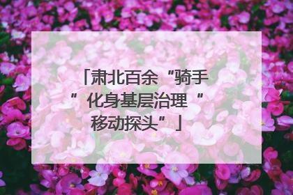 肃北百余“骑手”化身基层治理“移动探头”
