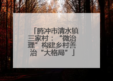 腾冲市清水镇三家村：“微治理”构建乡村善治“大格局”