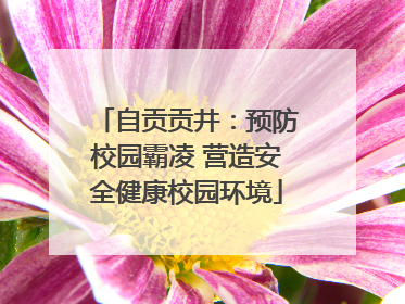 自贡贡井：预防校园霸凌 营造安全健康校园环境