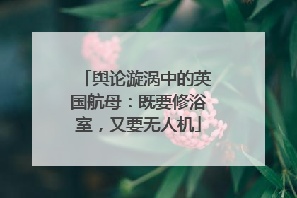 舆论漩涡中的英国航母：既要修浴室，又要无人机