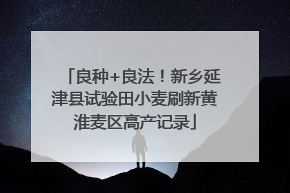 良种+良法！新乡延津县试验田小麦刷新黄淮麦区高产记录