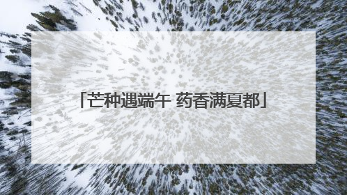 芒种遇端午 药香满夏都