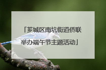 芗城区南坑街道侨联举办端午节主题活动