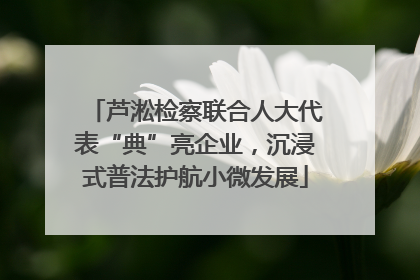 芦淞检察联合人大代表“典”亮企业，沉浸式普法护航小微发展