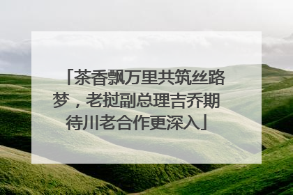 茶香飘万里共筑丝路梦，老挝副总理吉乔期待川老合作更深入