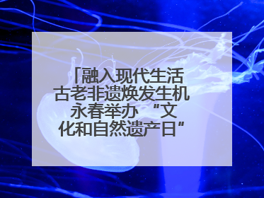 融入现代生活 古老非遗焕发生机 永春举办 “文化和自然遗产日” 非遗快闪活动