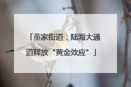 董家街道：陆海大通道释放“黄金效应”