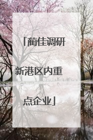 蔺佳调研新港区内重点企业
