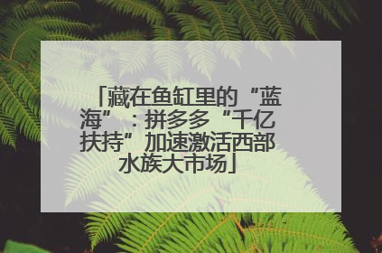 藏在鱼缸里的“蓝海”：拼多多“千亿扶持”加速激活西部水族大市场