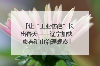 让“工业伤疤”长出春天——辽宁加快废弃矿山治理观察