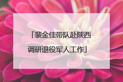 裴金佳带队赴陕西调研退役军人工作