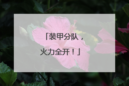 装甲分队，火力全开！
