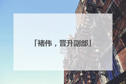 褚伟，晋升副部