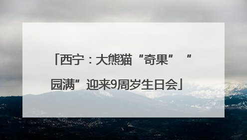 西宁：大熊猫“奇果”“园满”迎来9周岁生日会
