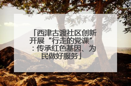西津古渡社区创新开展“行走的党课”：传承红色基因、为民做好服务