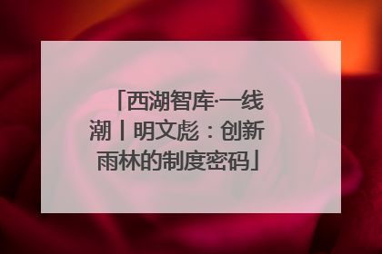 西湖智库·一线潮丨明文彪：创新雨林的制度密码