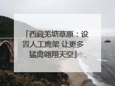 西藏羌塘草原：设置人工鹰架 让更多猛禽翱翔天空