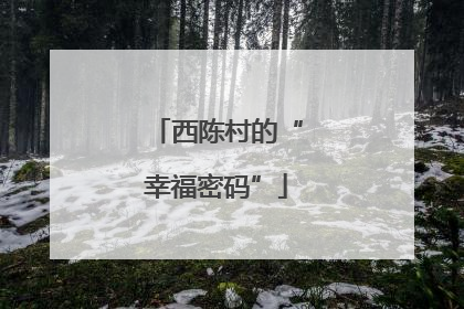 西陈村的“幸福密码”