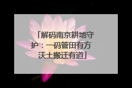 解码南京耕地守护：一码管田有方 沃土搬迁有道