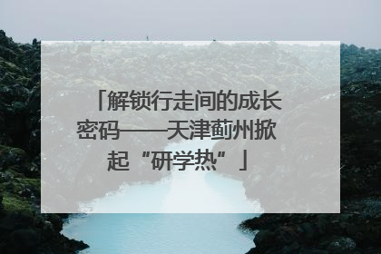 解锁行走间的成长密码——天津蓟州掀起“研学热”