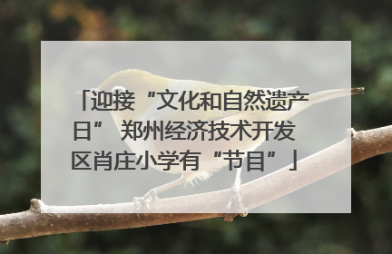 迎接“文化和自然遗产日” 郑州经济技术开发区肖庄小学有“节目”