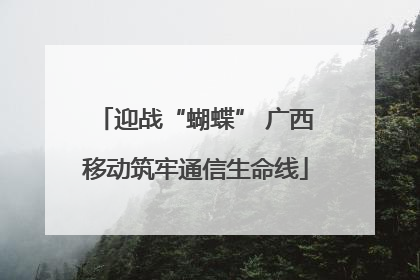迎战“蝴蝶” 广西移动筑牢通信生命线