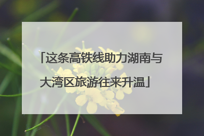 这条高铁线助力湖南与大湾区旅游往来升温