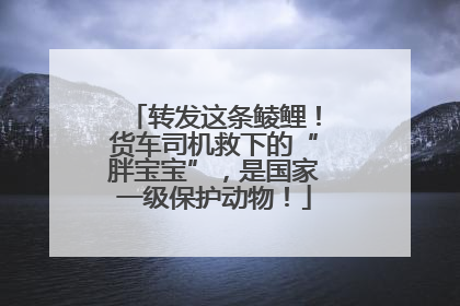 转发这条鲮鲤！货车司机救下的“胖宝宝”，是国家一级保护动物！