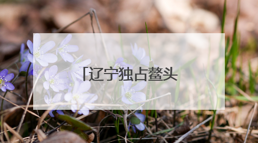 辽宁独占鳌头！东北县域十强榜单揭晓