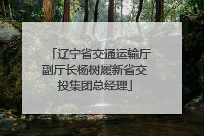 辽宁省交通运输厅副厅长杨树履新省交投集团总经理