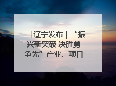 辽宁发布｜“振兴新突破 决胜勇争先”产业、项目、民生齐发力 葫芦岛按下决胜之年“加速键”