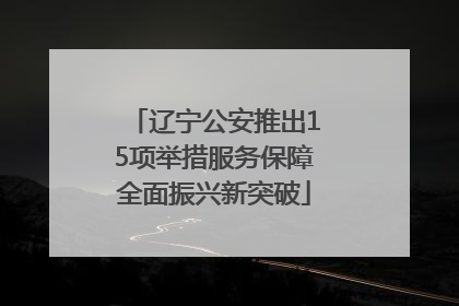 辽宁公安推出15项举措服务保障全面振兴新突破