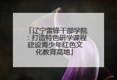 辽宁雷锋干部学院：打造特色研学课程 建设青少年红色文化教育高地