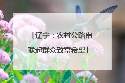 辽宁：农村公路串联起群众致富希望