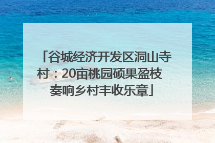 谷城经济开发区洞山寺村：20亩桃园硕果盈枝 奏响乡村丰收乐章