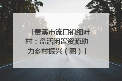 贵溪市流口镇细叶村：盘活闲置资源助力乡村振兴（图）