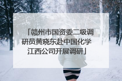 赣州市国资委二级调研员黄晓东赴中国化学江西公司开展调研