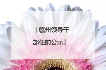 赣州领导干部任前公示