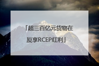 超三百亿元货物在厦享RCEP红利