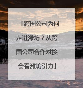 跨国公司为何走进潍坊？从跨国公司合作对接会看潍坊引力