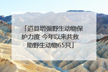 道县增强野生动物保护力度 今年以来共救助野生动物65只