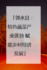 邻水县：特色蔬菜产业蓬勃 赋能乡村经济发展