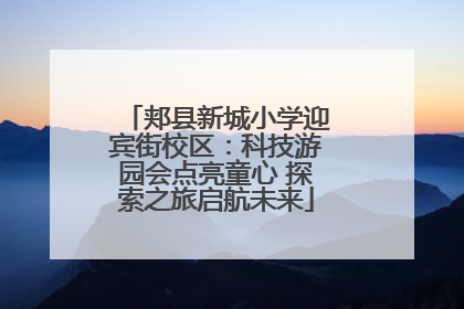 郏县新城小学迎宾街校区：科技游园会点亮童心 探索之旅启航未来