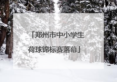 郑州市中小学生荷球锦标赛落幕