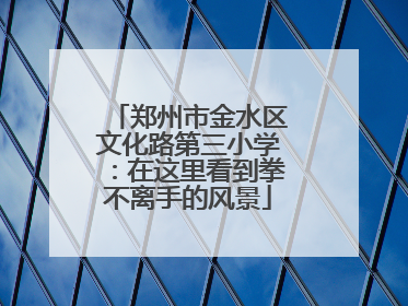 郑州市金水区文化路第三小学：在这里看到拳不离手的风景
