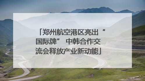 郑州航空港区亮出“国际牌” 中韩合作交流会释放产业新动能