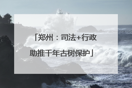 郑州：司法+行政助推千年古树保护
