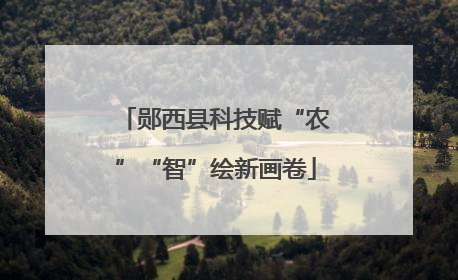 郧西县科技赋“农”“智”绘新画卷