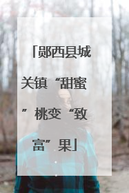 郧西县城关镇“甜蜜”桃变“致富”果