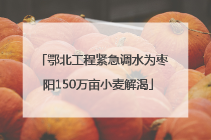 鄂北工程紧急调水为枣阳150万亩小麦解渴